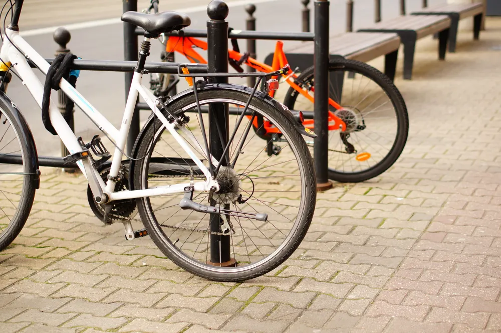 2-Hour Bike Hire at Karura Forest in Karura Forest